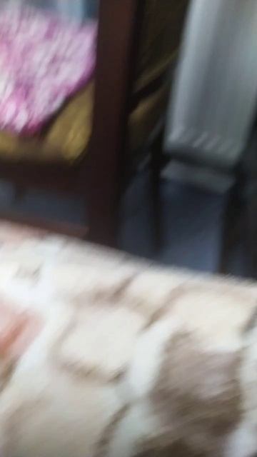 СЕРВЕРЧИК ТТД