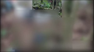 Уничтожение ДРГ Всу в Брянской области 💥🇷🇺👊