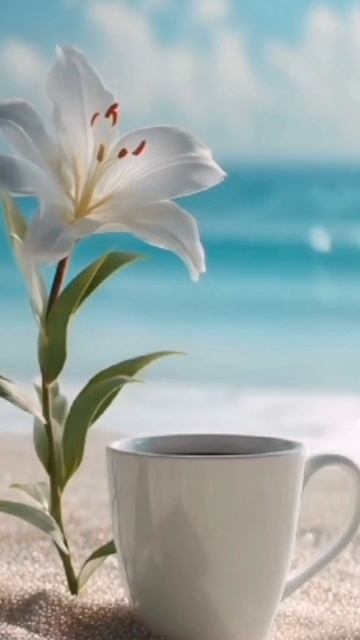 Море ,море ,мир бездонный . Авторское видео . смотреть онлайн