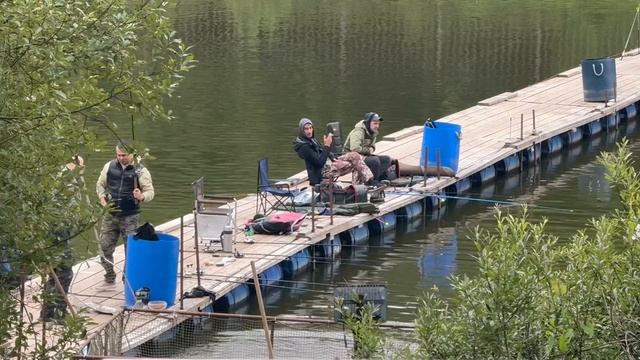 Осетр акробат смотреть онлайн