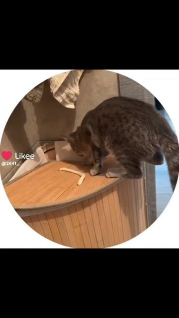 клинок рассекающий демонов смотреть онлайн