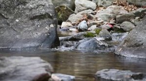 Река для двоих