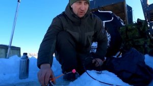 ТАЕЖНЫЙ  Лес рыбалка