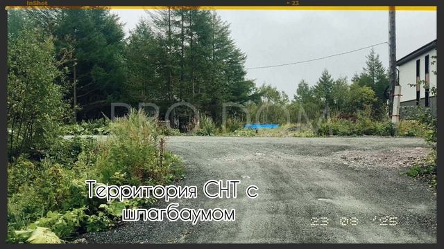 Video-output-B80B2684-B5A9-4238-B205-3274874DDFA1