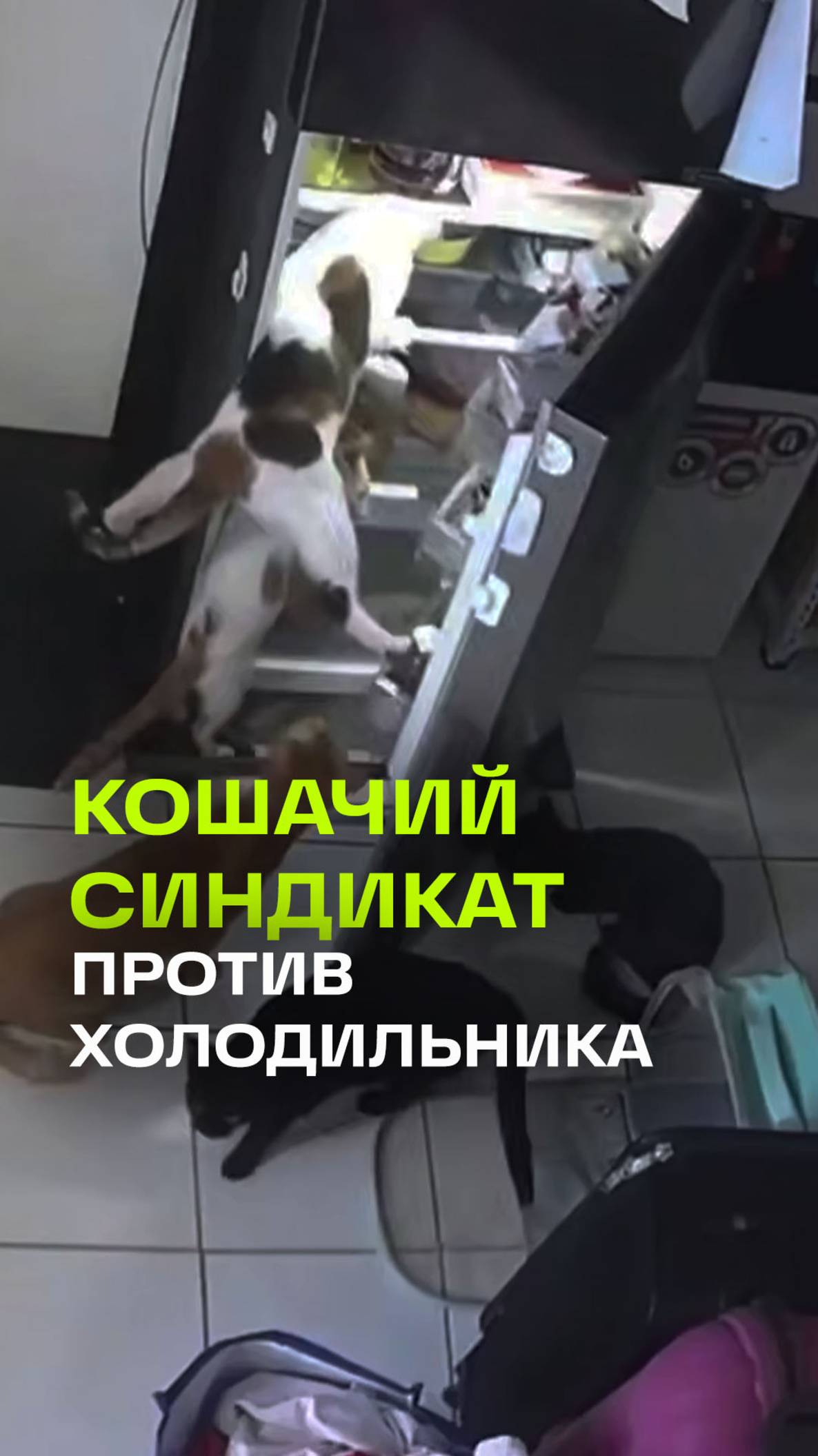 Телеканал 360