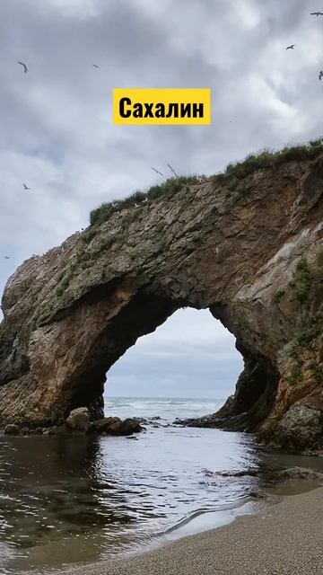 Мыс Великан — просто послушайте этот гул  #сахалин