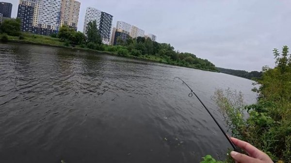 Раздача на микроджиг. ОТ МЕЛОЧИ К КРУПНОМУ. Рыбалка на канале имени Москвы. Тест новых приманок.