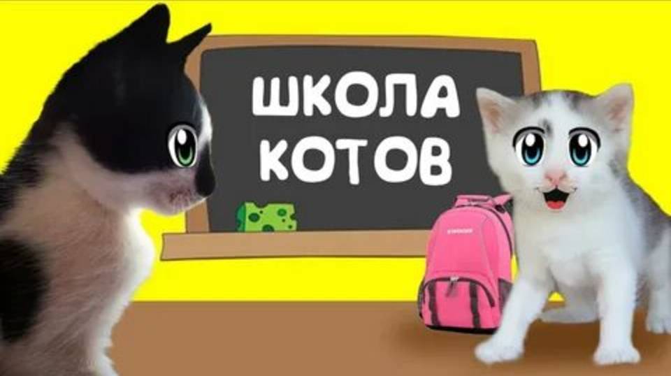 ОСЕНЬ!!! КОТ МАЛЫШ И КОШЕЧКА МУРКА ИДУТ В ШКОЛУ!!! А НУ- КА ДАВАЙ-КА!!! смотреть онлайн