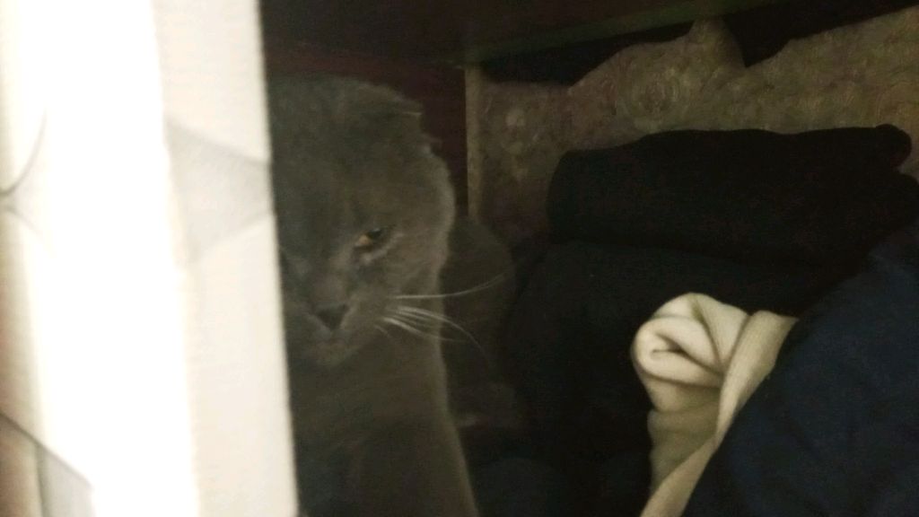 легендарный стрим 🎇