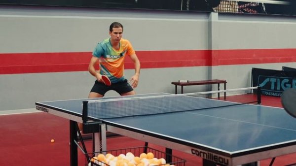 BUTTERFLY Innerforce Layer ZLC обзор.