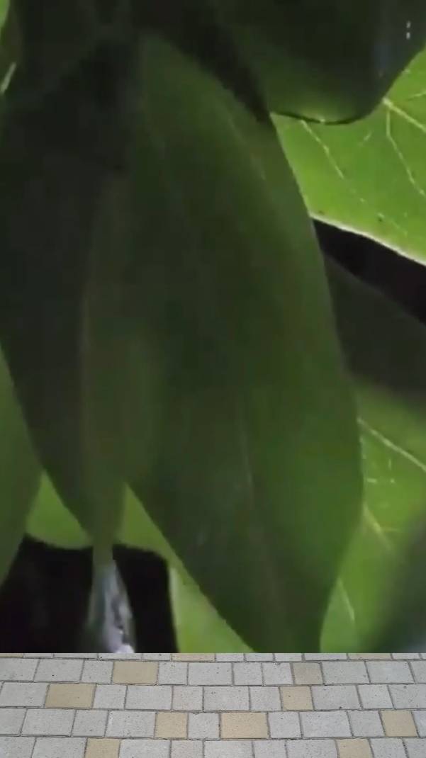 Умные ... смотреть онлайн