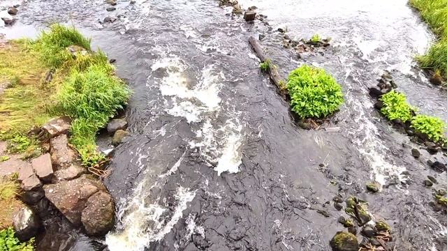 Приозерск, с.Бригадное - пороги Пярнянкоски смотреть онлайн