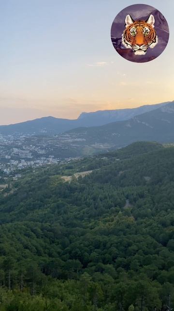 Красивые вечер в горах #горы #ялта#крым смотреть онлайн