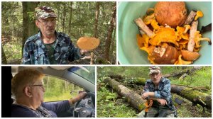 23.08.25 - Поехали за грибами // Первый раз за рулем этой машины 🚘