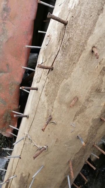 СТРАННАЯ БОЛВАНКА 🤔