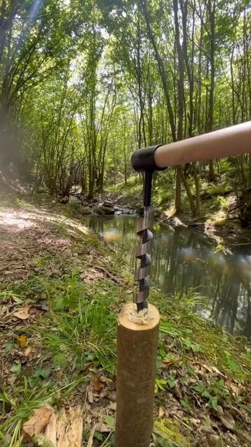 Лесная Кухня