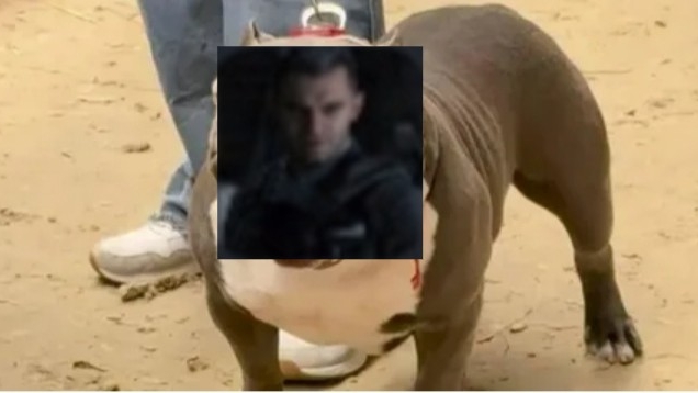 РОДИОН СОБАКА!|поединок в горячей зоне