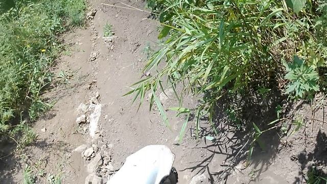 Разминочка 23.08.25