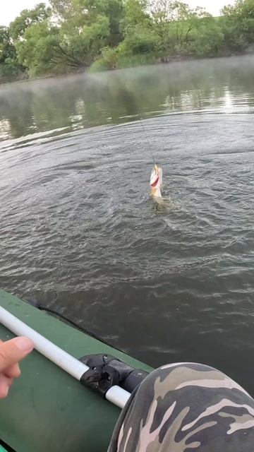 ЗУБАСТАЯ КРАСОТКА смотреть онлайн