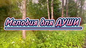 Мелодия для души, прекрасное фортепиано