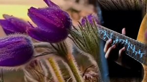 Баҕардым күн курдук...