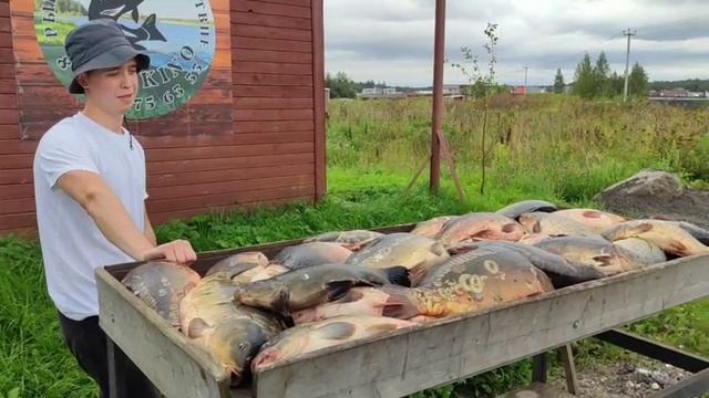 WhatsApp Video 2025-08-23 at 15.19.37 смотреть онлайн