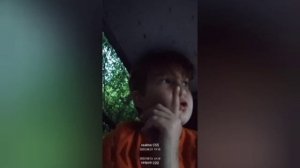 прятки