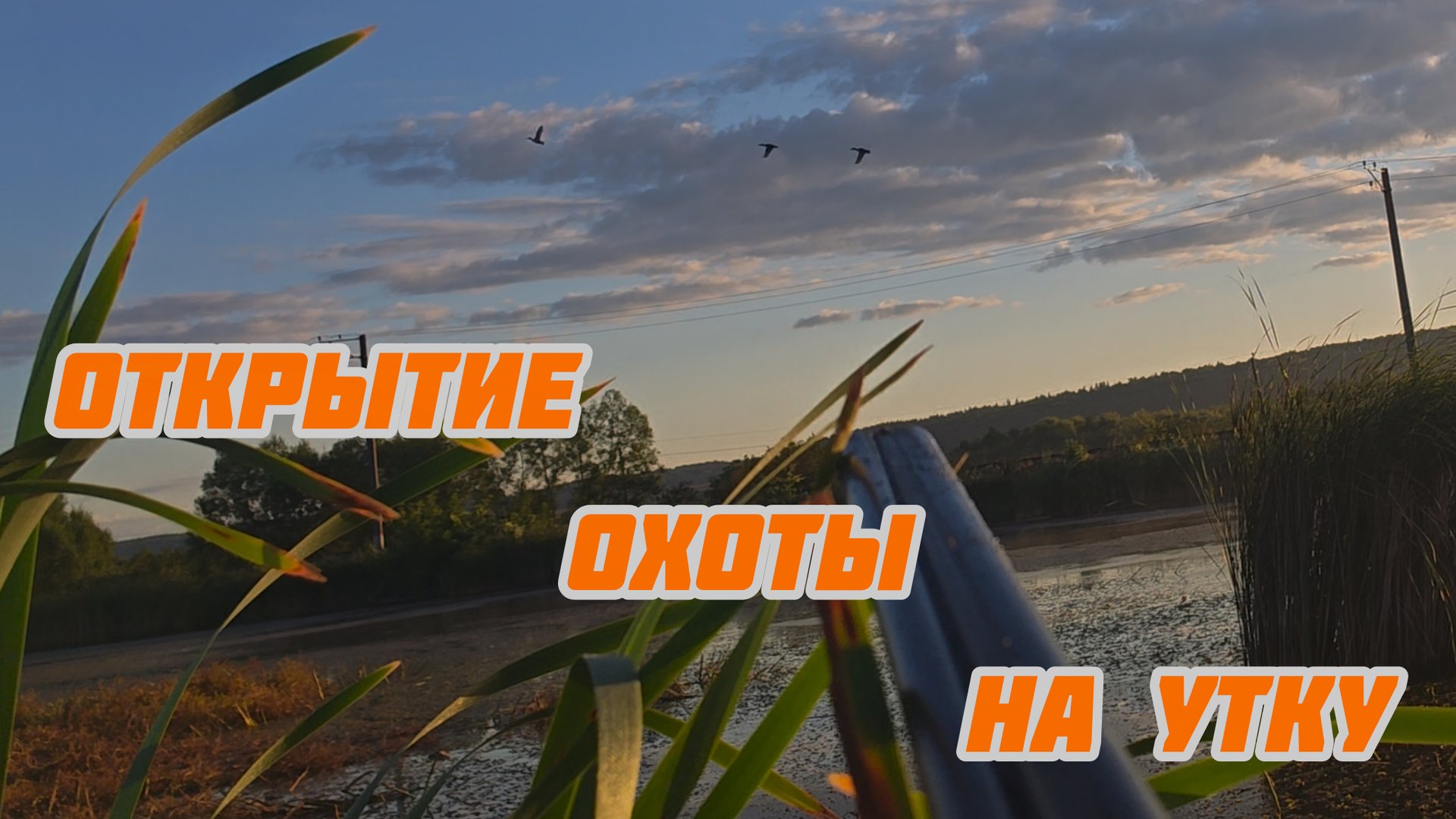 242-Открытие охоты на утку.(16-17.08.2025) смотреть онлайн