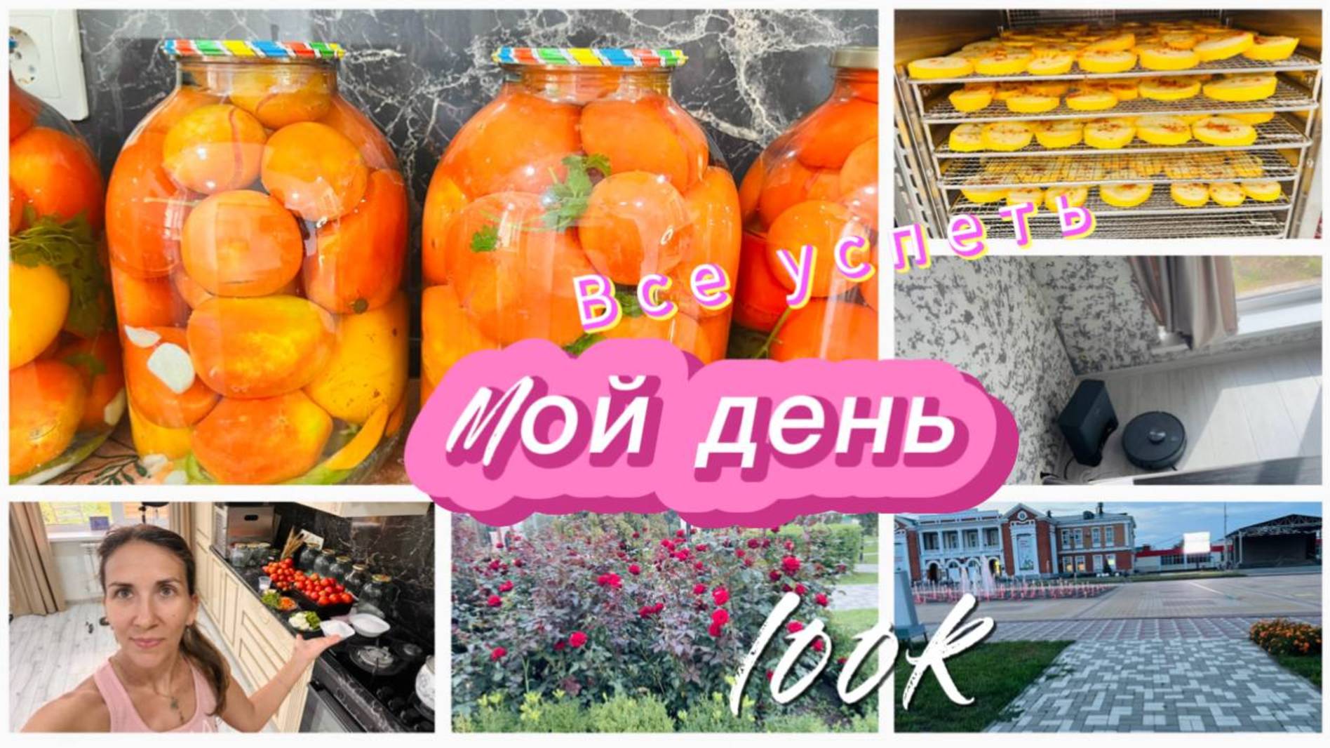 Прогулка, консервация помидоров и поломка пылесоса смотреть онлайн