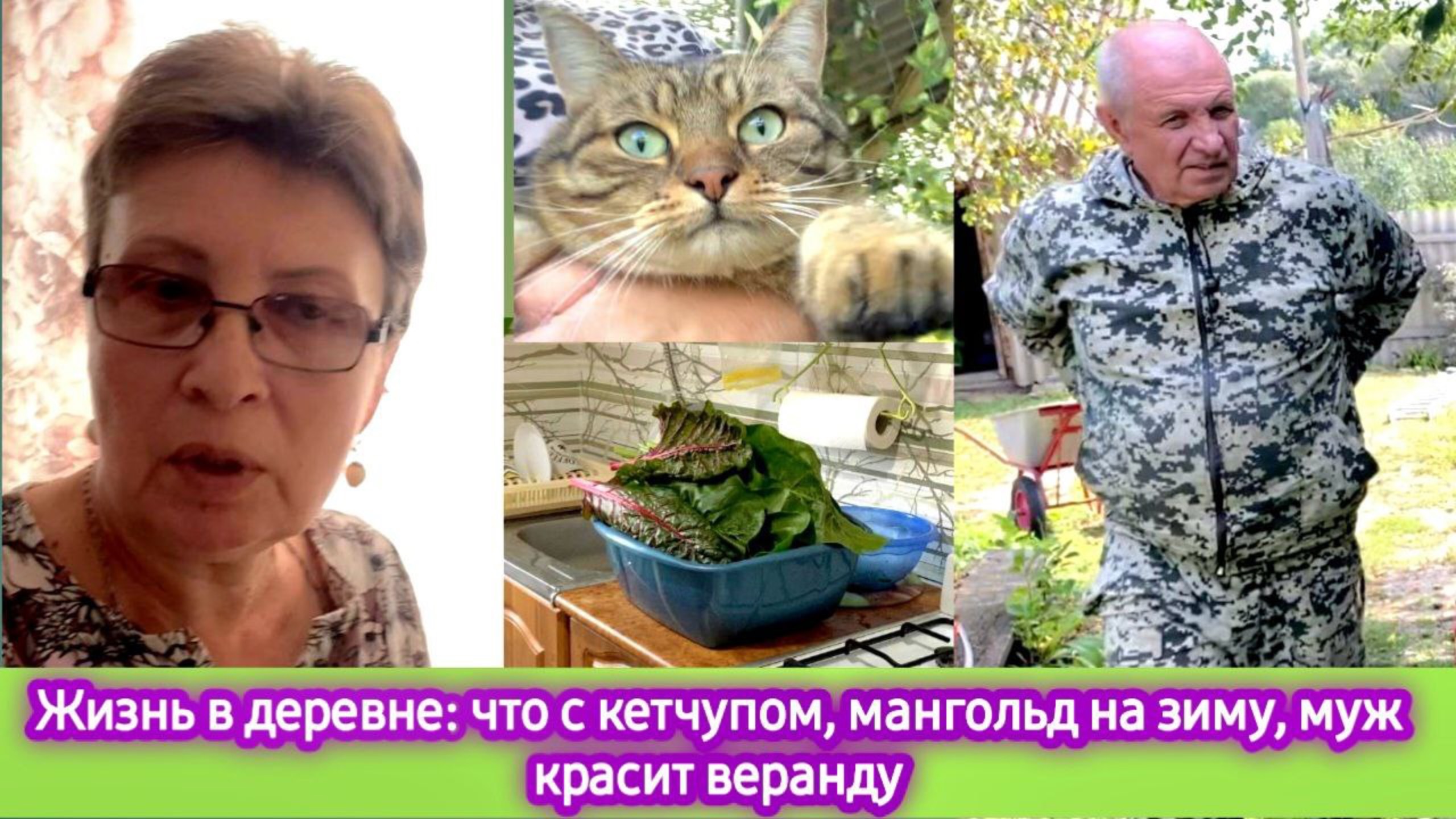 Жизнь в деревне: Что с кетчупом, мангольд на зиму, муж красит веранду смотреть онлайн