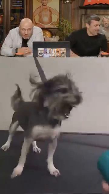 Нᴇйᴩᴏпоток