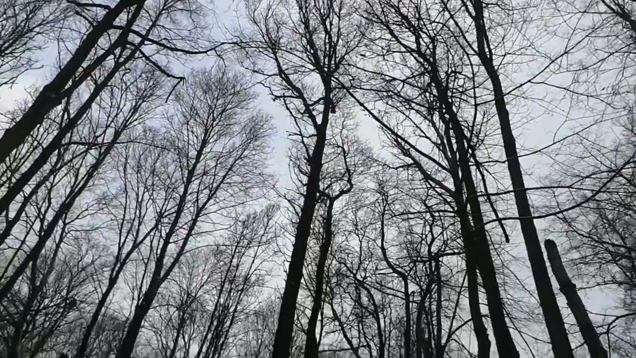 Юрий Охота с лайками