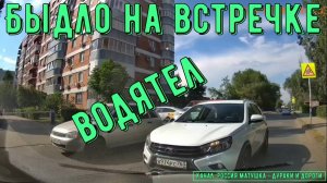 Быдло на встречке #195! Подборка на видеорегистратор!