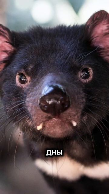 А во сколько лет ты узнал...