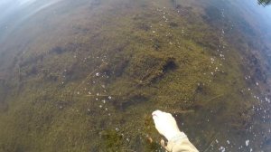 РЫБАЛКА НА ПОППЕР В РОСТОВСКОЙ ОБЛАСТИ