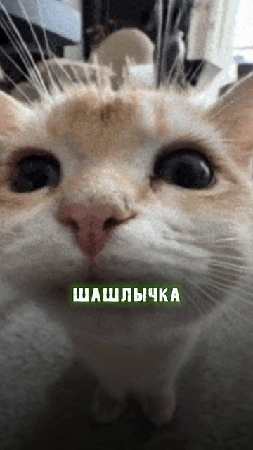 ТОП Запретов Для Квадро Героев. Нарушают ВСЕ смотреть онлайн