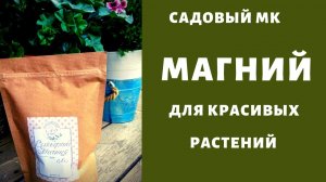 СУЛЬФАТ МАГНИЯ. Подкормка роз весной (мастер класс)