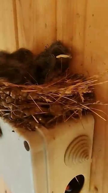 скоро полетим #море #влог #отпускпродолжается #жизнь #природа #тревелвлог #отдых