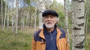 Как сделать правильный выбор Лесная техника.