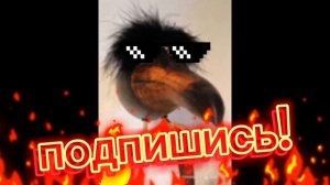 скебоб про