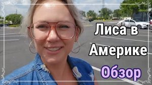 Лиса в Америке Обзоры