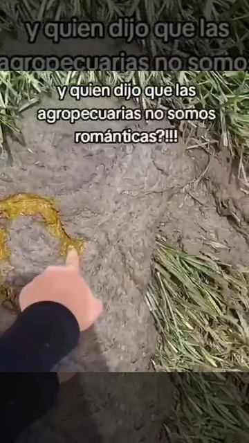 Darik Driver  Паралич Хардкор