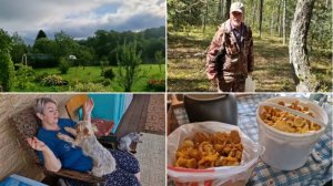 ЕДЕМ В ЛЕС ПРОГУЛЯТЬСЯ И НАБРАТЬ ГРИБОВ, А ДОМА КАЙФУЕМ И НИЧЕГО НЕ ХОТИМ ДЕЛАТЬ.