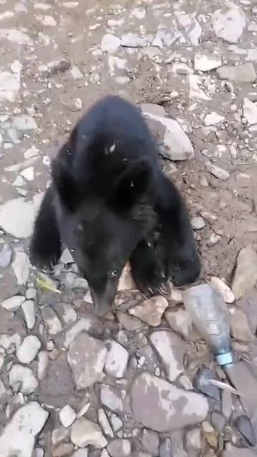 ЖИТЬ во Владивостоке