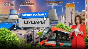 Шушары СПб — стоит ли здесь жить? Обзор района без прикрас с Кудреватых Марией