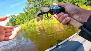 ТАМ ЛЕС ПОД ВОДОЙ и РЫБА КЛЮЁТ, Судак, берш, щука. Рыбалка на спиннинг в 2025