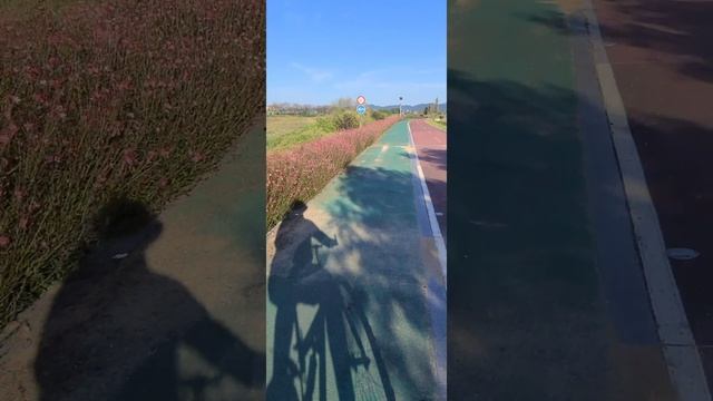 На спорте...Южная Корея