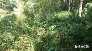 Поездка на забытые родники.