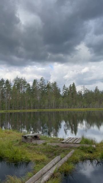 Август'25🌿 #shorts смотреть онлайн