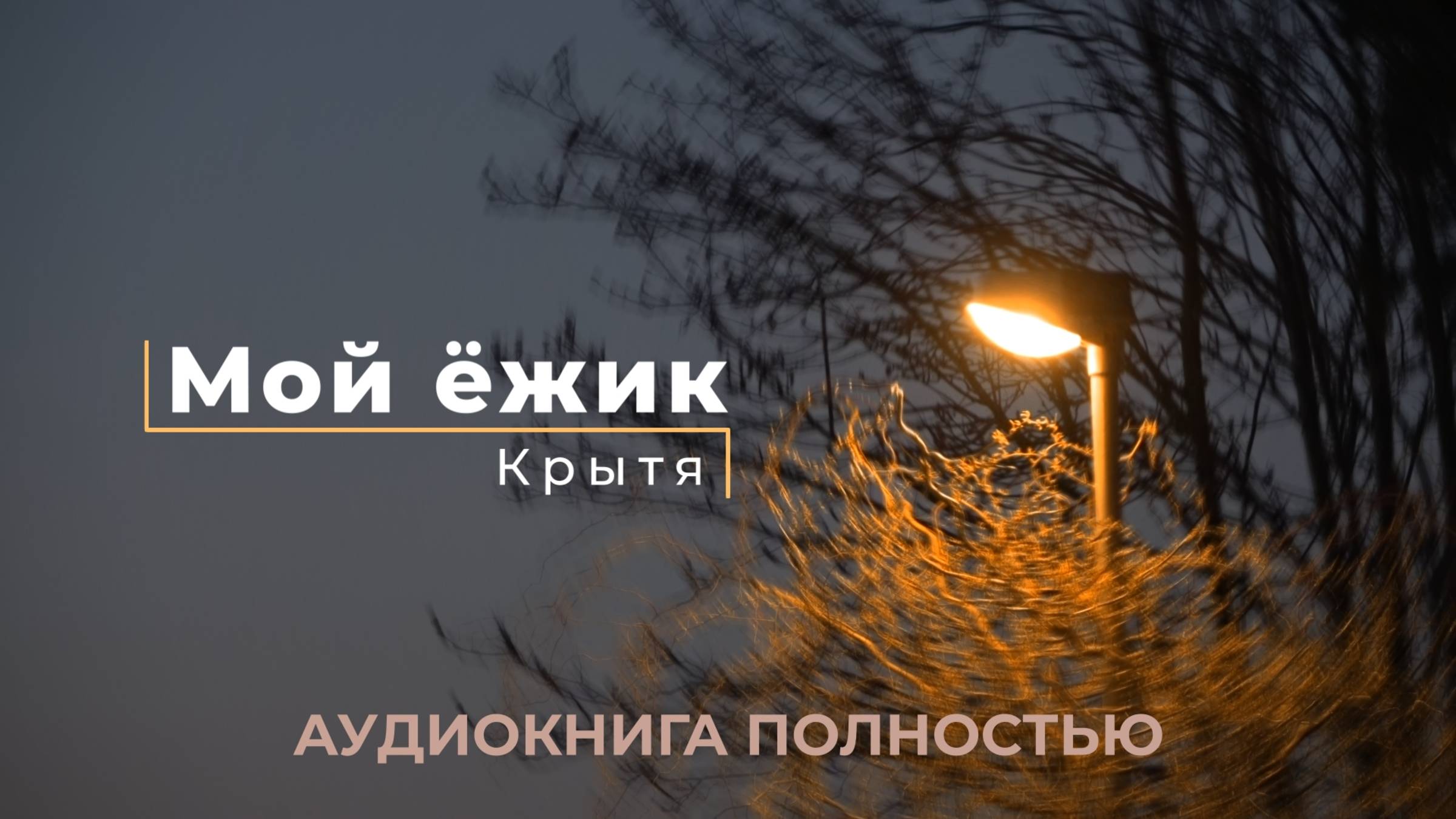 Мой ёжик - фэнтезийный роман, аудиокнига полностью, автор Крытя